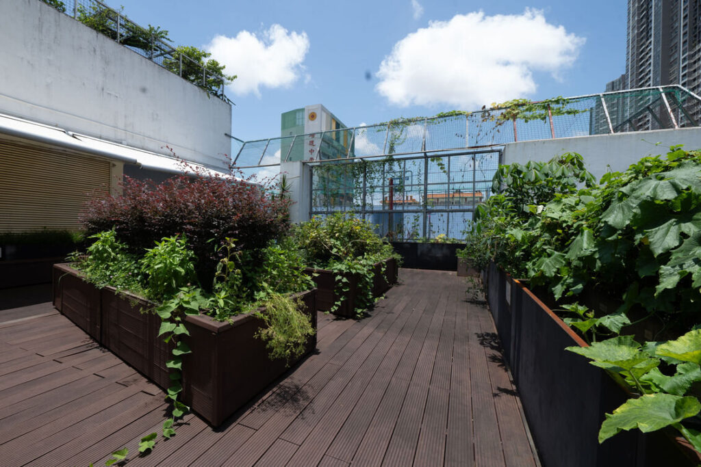 Our school garden